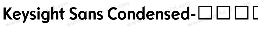 Keysight Sans Condensed字体转换